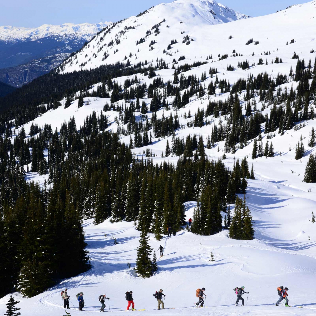 Hibachi Ridge Guided Ski Tour - Snowline Adventures